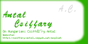 antal csiffary business card